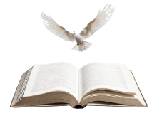 Daily Manna Logo